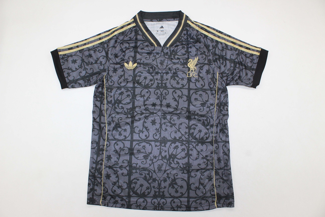 AAA Quality Liverpool 25/26 Training Black/Grey Jersey